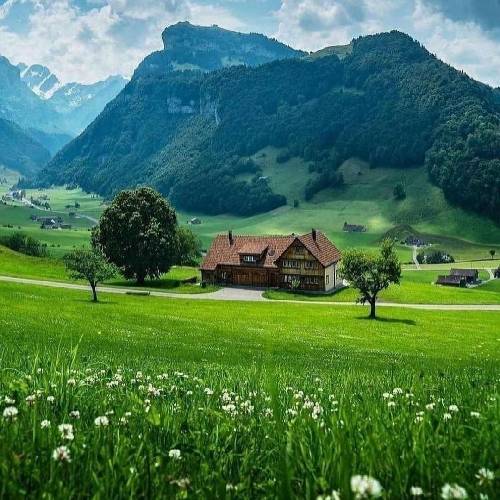 کمیل محمدی رفتی و تنهام جلو چشای این شهر ریخته تو قلبم همه غمای این شهر